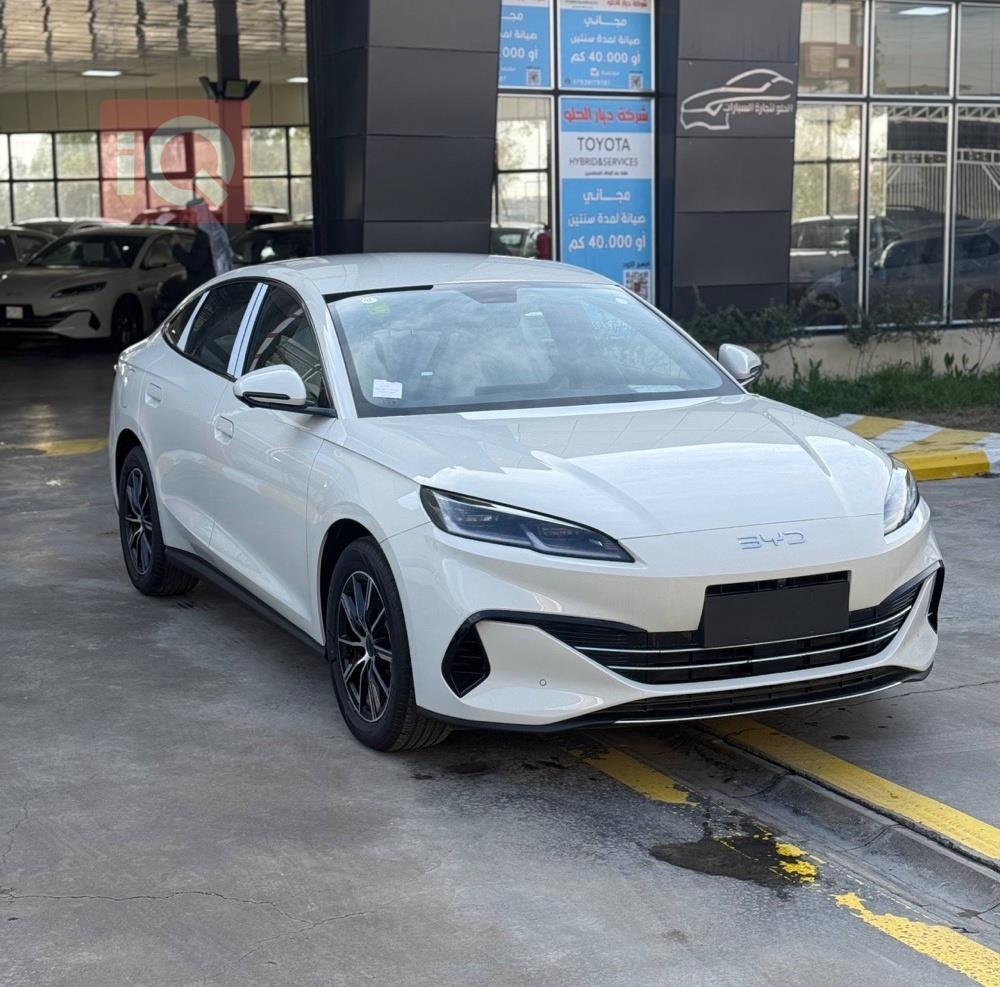 بي واي دي سيل 06 DM-i